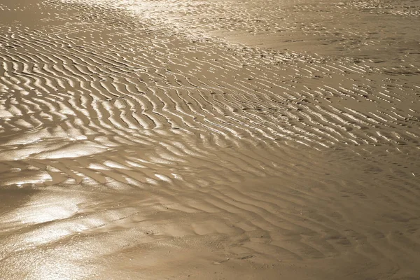 湿った砂の質感 日没時に干潮時に黄色の砂でビーチ 日没時にペルシャ湾 グラデーションと木目のある背景色 — ストック写真