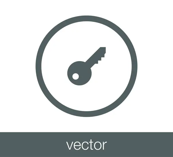 Icono web clave . — Vector de stock