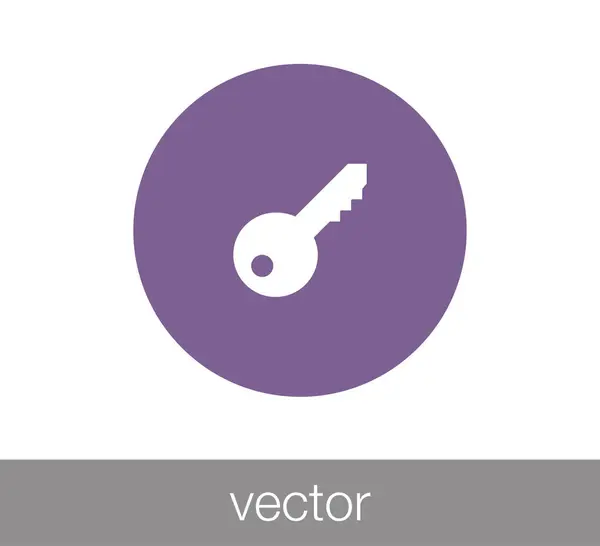 Icono web clave . — Vector de stock