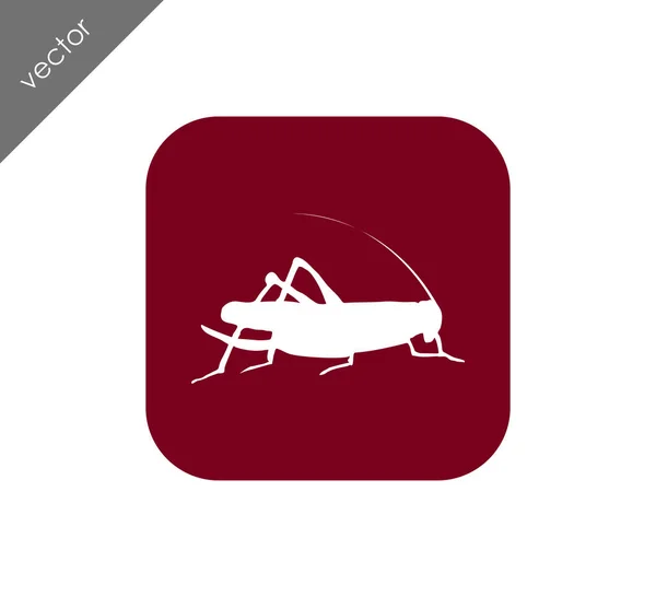 Cricket insect icon — Stock Vector