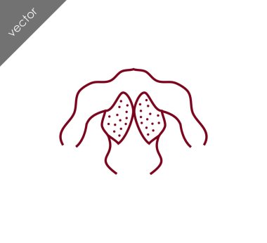 insan sırt kas simgesi