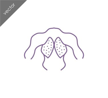 insan sırt kas simgesi