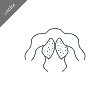 insan sırt kas simgesi