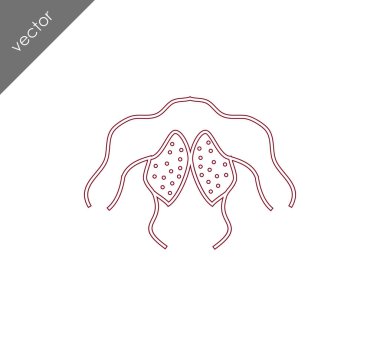 insan sırt kas simgesi