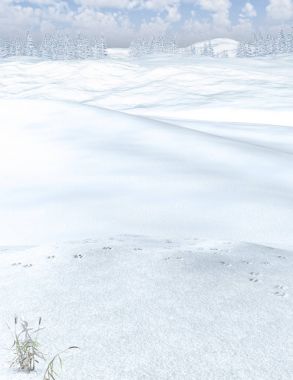 Güzel kış orman manzara arka plan