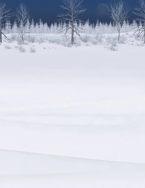 Красивый пейзаж Зимнего леса — стоковое фото