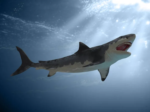 Grande ataque de tubarão branco — Fotografia de Stock