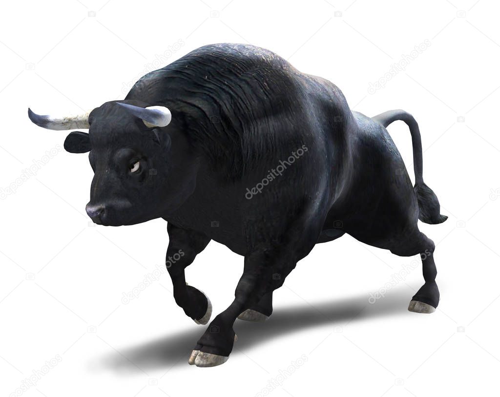 Raging Bull Attacking Isolated on White