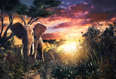 Gün batımında bozkırda bir Afrika filinin güzel manzarası, 3D çizim.