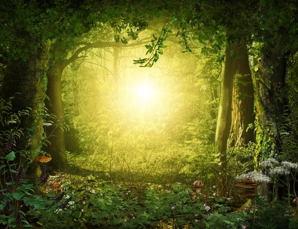 Beautiful Enchanting Magical Lush Woodland Leading Heavenly Light Render — Stock Photo, Image