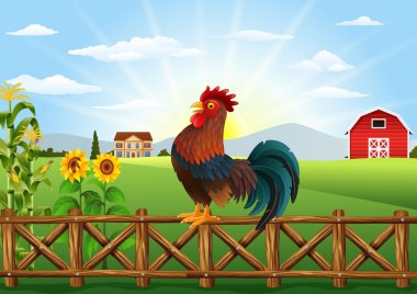 Sevimli çizgi horoz ötüyor çiftlik çit