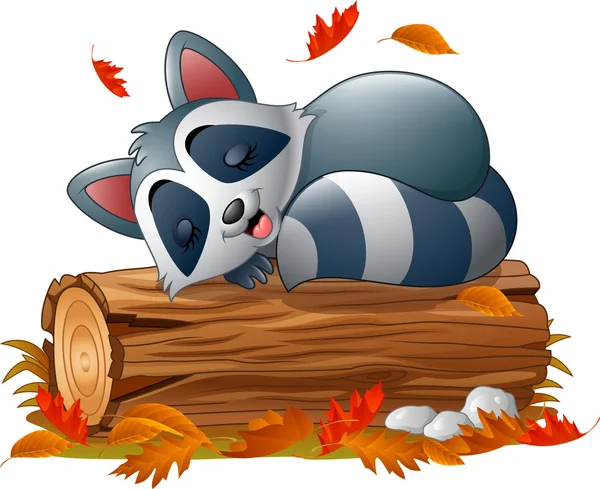 Procione dei cartoni animati dormire in autunno — Vettoriale Stock