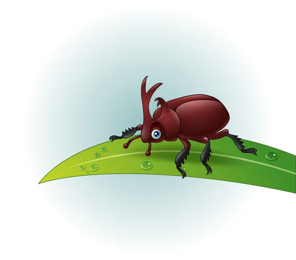 Kreskówka nosorożec beetle na liściu — Wektor stockowy