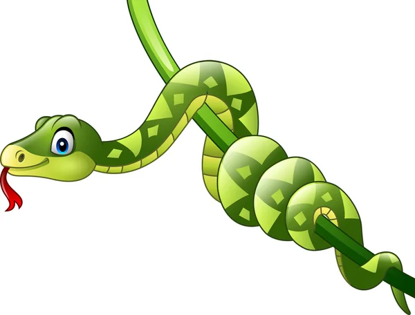 शाखा वर कार्टून हिरवा साप — स्टॉक व्हेक्टर