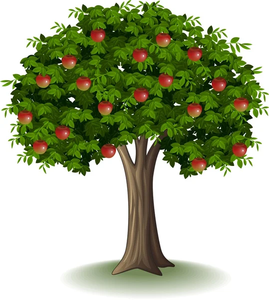 リンゴの木ストックベクター ロイヤリティフリーリンゴの木イラスト Depositphotos