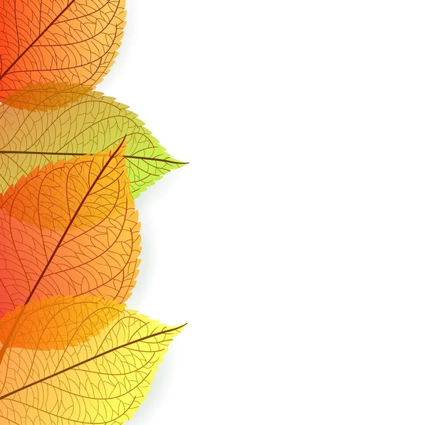 Fundo com estilizar folhas de outono —  Vetores de Stock