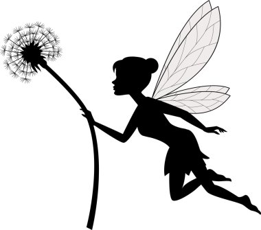 Peri holding karahindiba