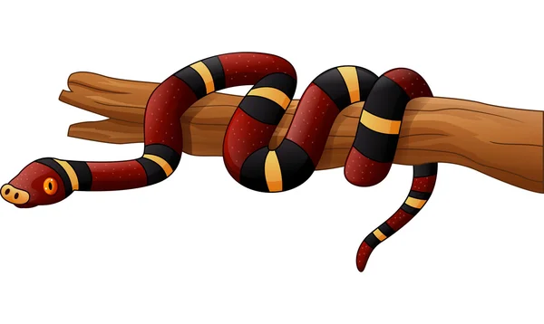 Serpente dei cartoni animati su ramo — Vettoriale Stock