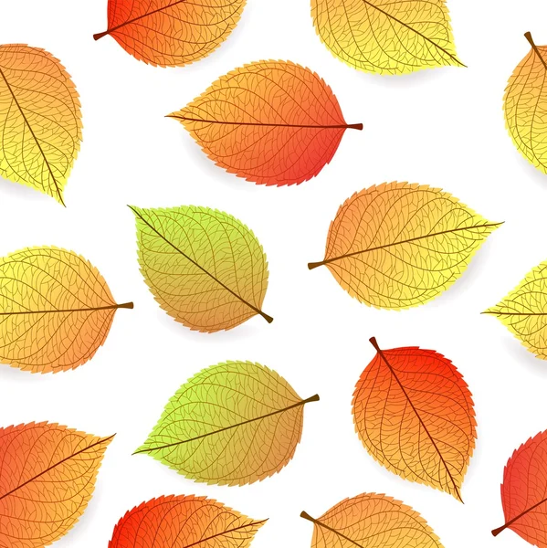 Fond avec feuilles d'automne stylisées — Image vectorielle