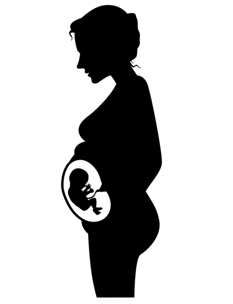 Pregnant woman silhouette — Stock Vector