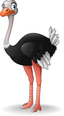 Cute ostrich cartoon clipart