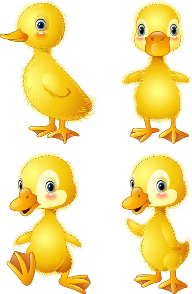 Funny duck collection set — Stock Vector