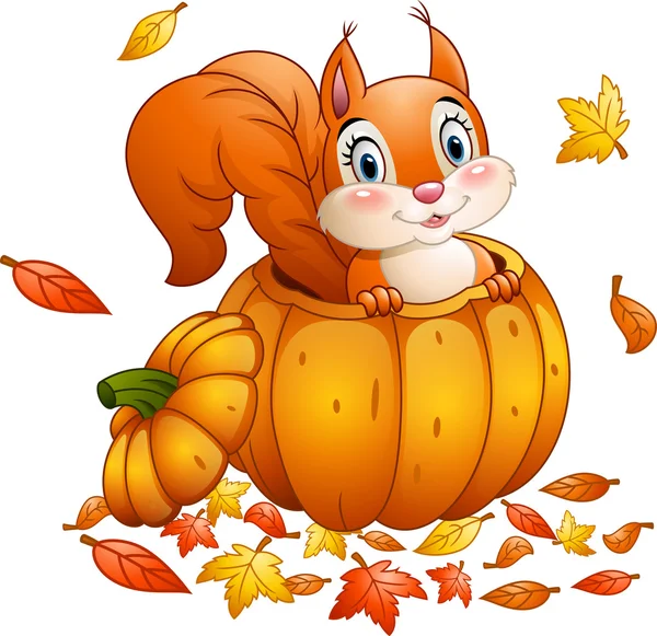 Cute squirrel in a pumpkin — Stock Vector