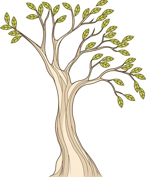 Stiliserade träd illustration — Stock vektor