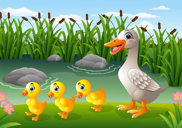 Familia de pato de dibujos animados — Vector de stock