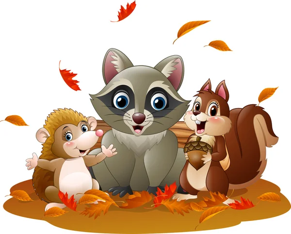 Cartone animato procione divertente, riccio e scoiattolo in autunno — Vettoriale Stock