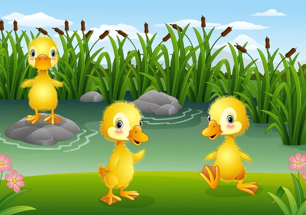 Desenhos animados pequenos patinhos jogando na lagoa — Vetor de Stock