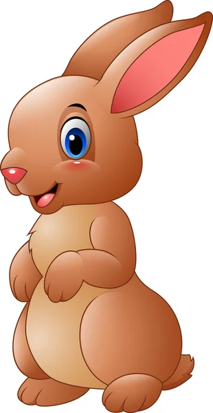 Dibujos animados conejo marrón — Vector de stock