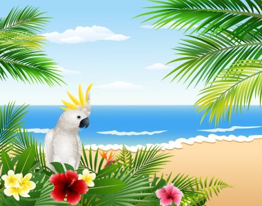 Tropikal plaj, tropikal bitkiler ve papağan ile kartı