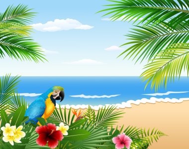 Tropikal plaj, tropikal bitkiler ve papağan ile kartı