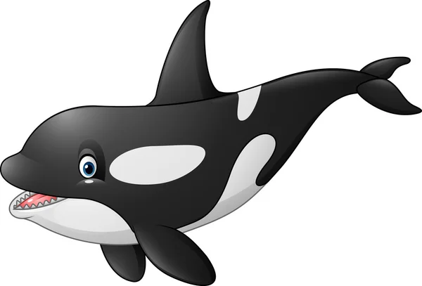 Cute orca isolated on white background — ストックベクタ