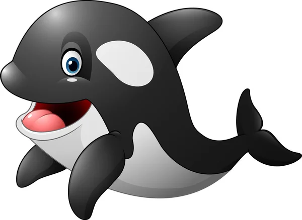 Linda orca aislada sobre fondo blanco — Vector de stock