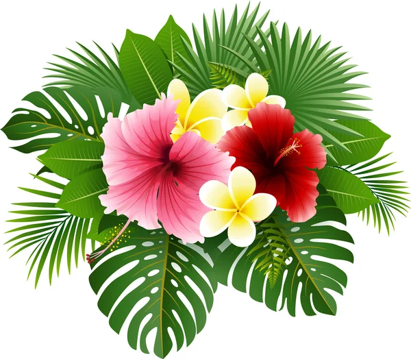 Belles fleurs et feuilles — Image vectorielle