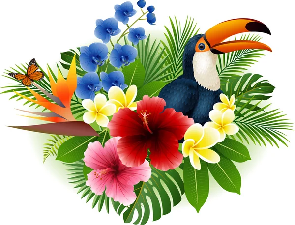 Tucán de dibujos animados y mariposa con flores y hojas de fondo — Vector de stock