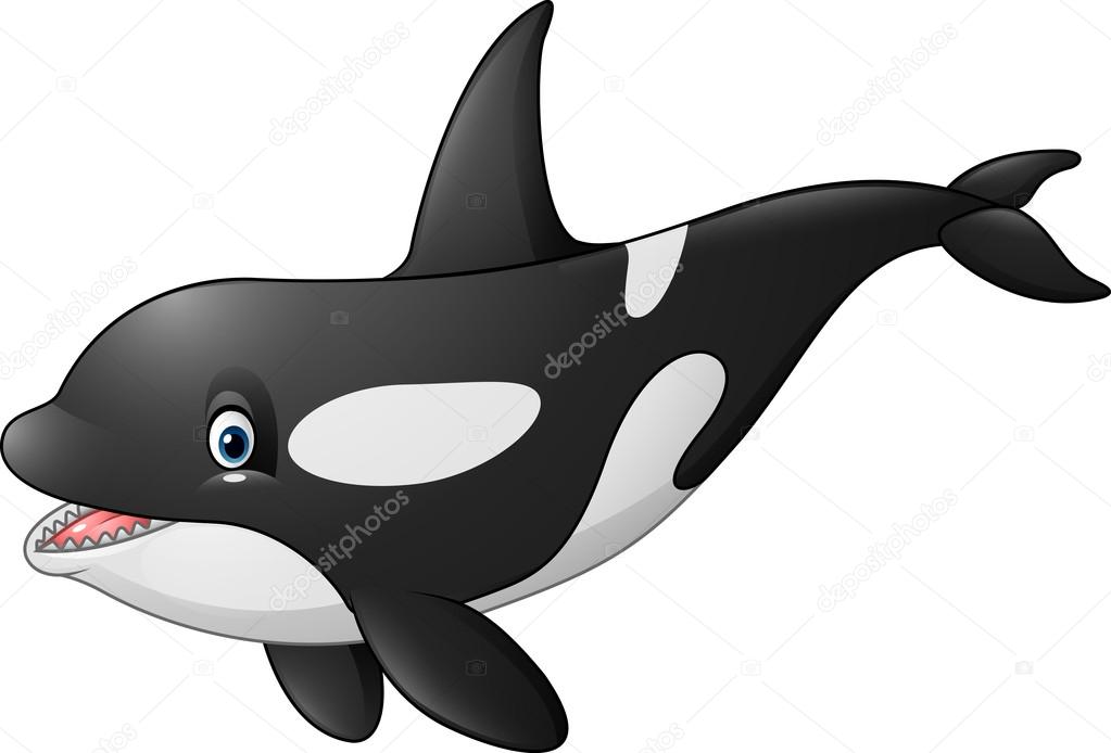 Orca de dibujos animados comic imágenes de stock de arte vectorial |  Depositphotos