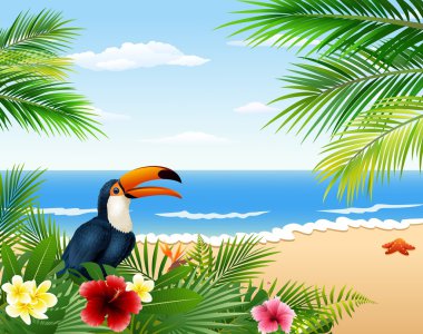 Tropikal plaj, tropikal bitkiler ve toucan kartı