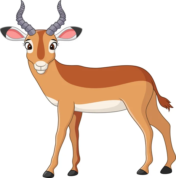 Happy Cartoon impala — Stockvector