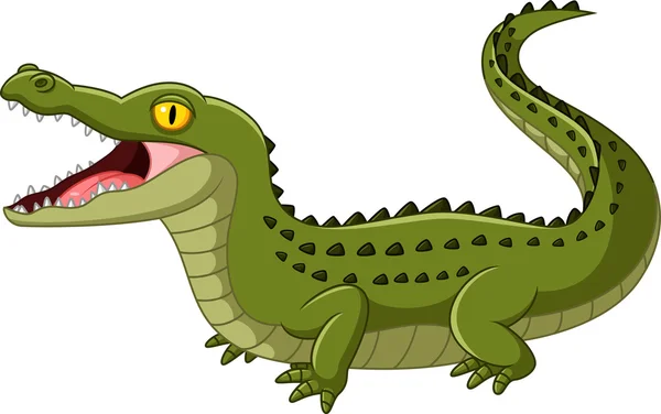 Krokodil open mond — Stockvector