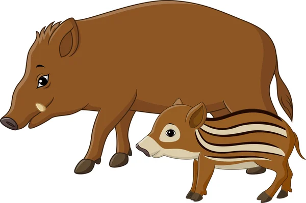 Cartoon wild boar and piglet — Stock Vector