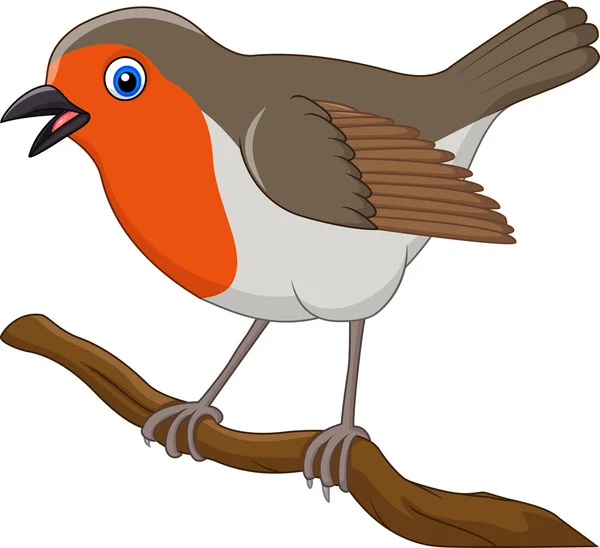 Karikatur schöner Rotkehlchen-Vogel — Stockvektor