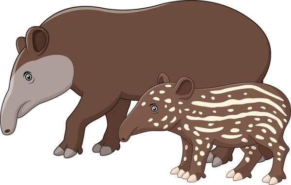 Tapir mère et bébé — Image vectorielle