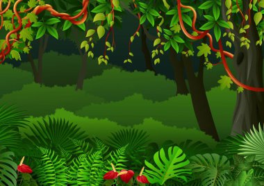 Tropik orman geçmişi