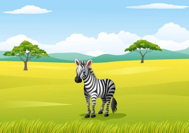 zebra, Afrika yatay