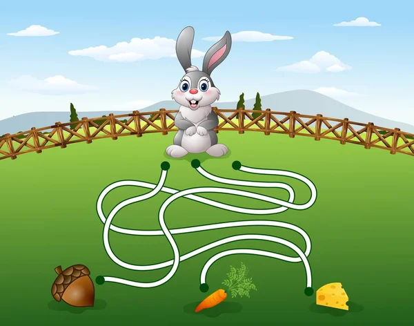Ayuda al conejo a encontrar la zanahoria — Vector de stock