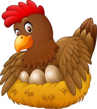 Sevimli tavuk kuluçkaya yatmış.