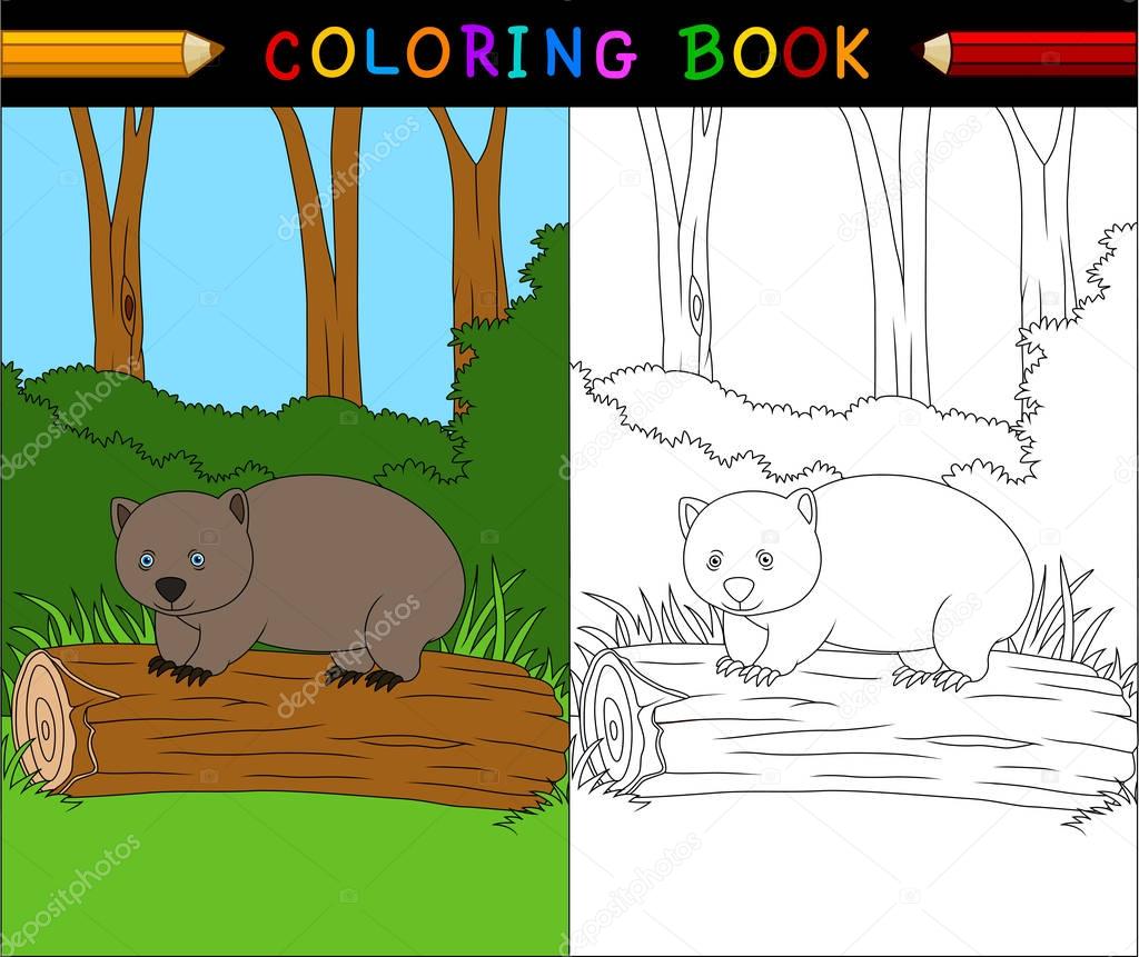 Cartoon wombat coloring book